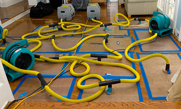 Professional Storm Water Damage Restoration technician working in Traverse City, MI